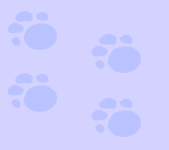 17789874.gif